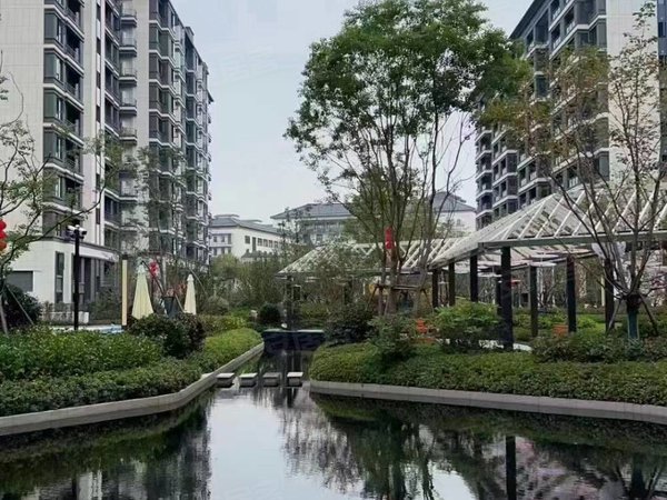 嘉兴海宁海宁市区中天锦澜府皮革城旁中天锦澜府独卫出租1000元出租