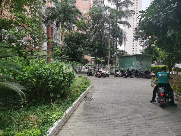 南宁西乡塘安吉棕榈湾秀厢大道棕榈湾小区温馨2房租1500出租房源真实