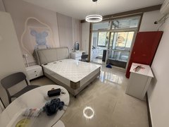 合肥经开莲花路免物业宽带 天门湖花园 一套全新 先来先挑 拎包入住出租房源真实图片