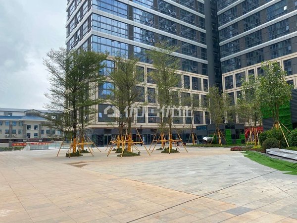 良庆镇租房,海关 壮医院旁 地铁口700米 看房方便,良庆租房-南宁58