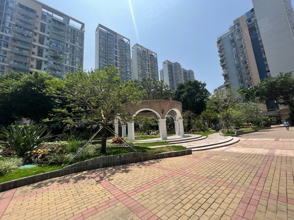 深圳福田福田中心区城中雅苑稀有户型,精装31房,南北通透,安静看花园