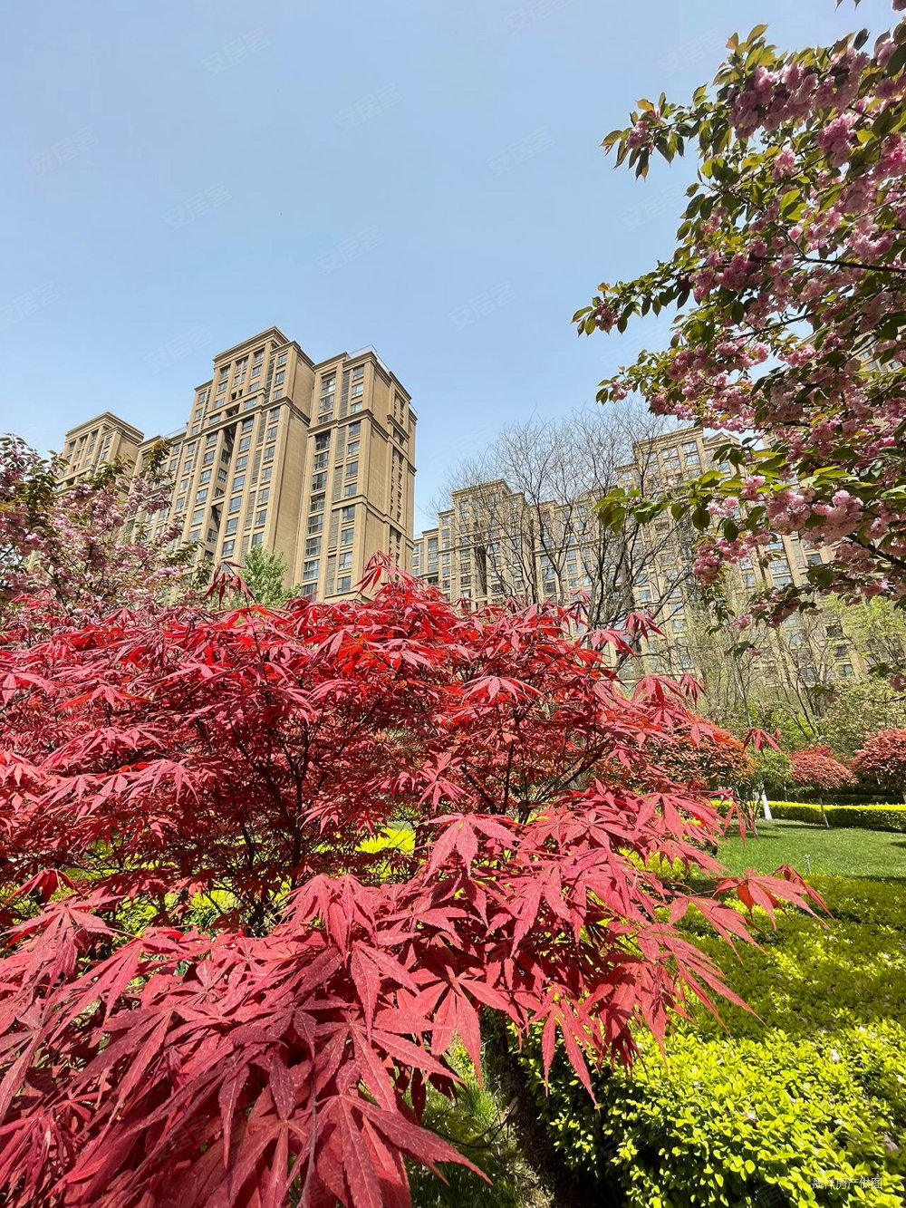 中海紫御华府  4室2厅3卫  毛坯诚意出售 满二 有车位