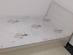 乌鲁木齐新市河北路押金300万达广场体育中心植物园汇嘉时代广场喀什西路河北西路出租房源真实图片