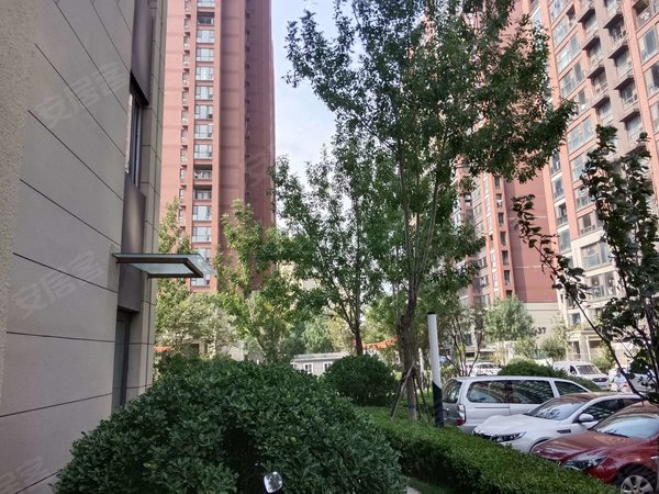 青岛城阳国学公园银盛泰书香嘉苑房源采光好,南北通透,业主诚意出租