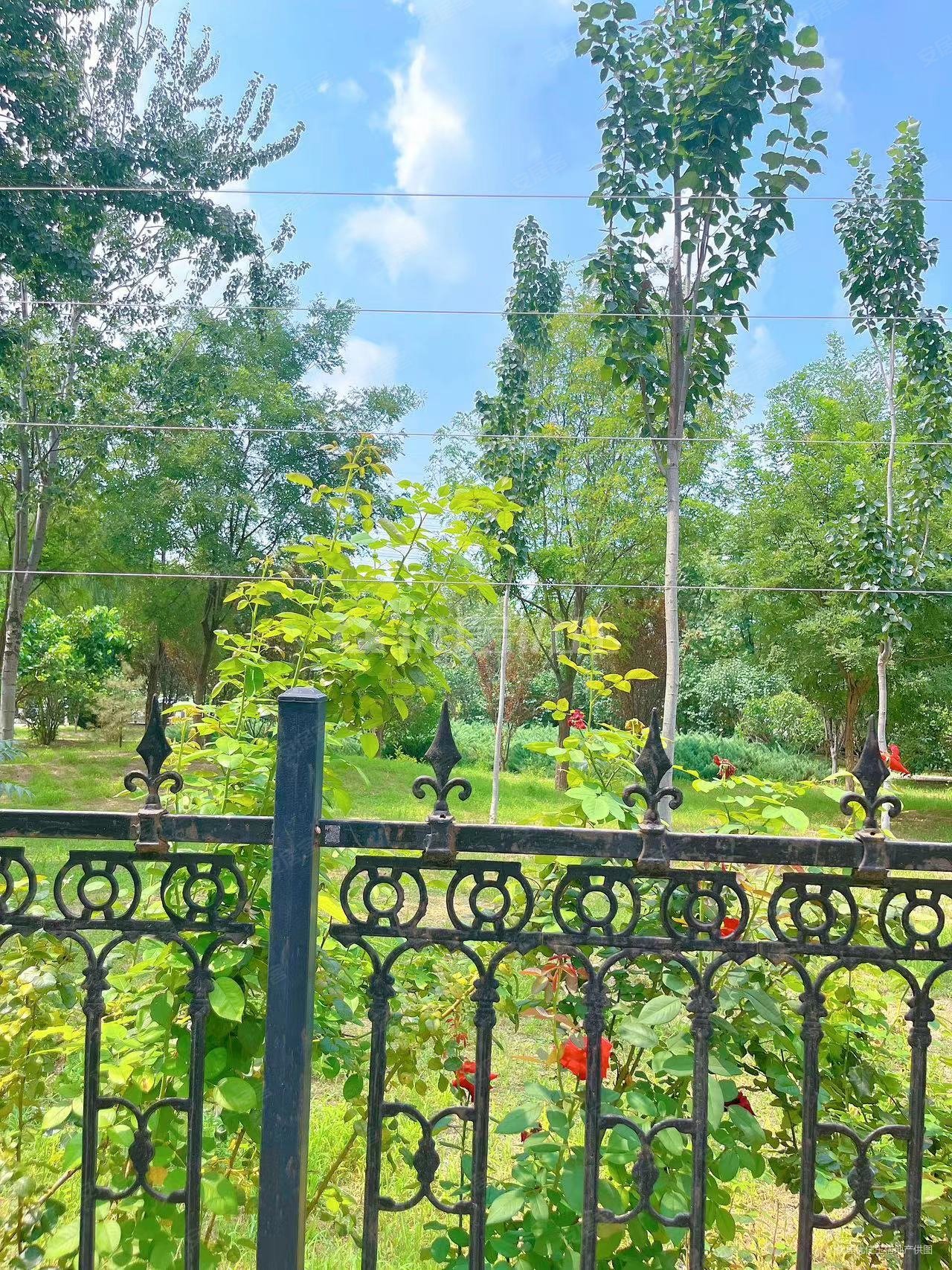 康乐园(大兴) 高楼层视野无遮挡 南北通透 临地铁 满五