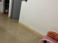 深圳南山科技园常兴新村 1室1厅1卫出租房源真实图片