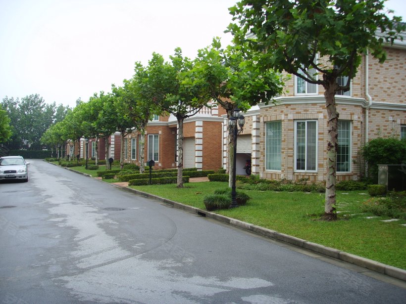 绿宝园 - 实景图 30 / 90