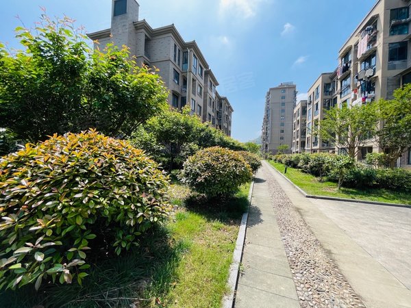 杭州富阳银湖梓树花苑(公寓住宅)梓树花苑2房 停车免费 大阳台采光好