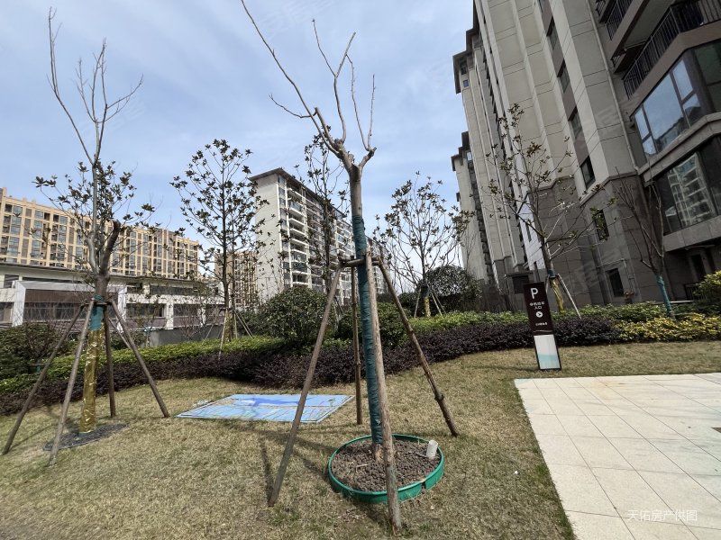 城东碧桂园珺尚府精装3室88.8万出售