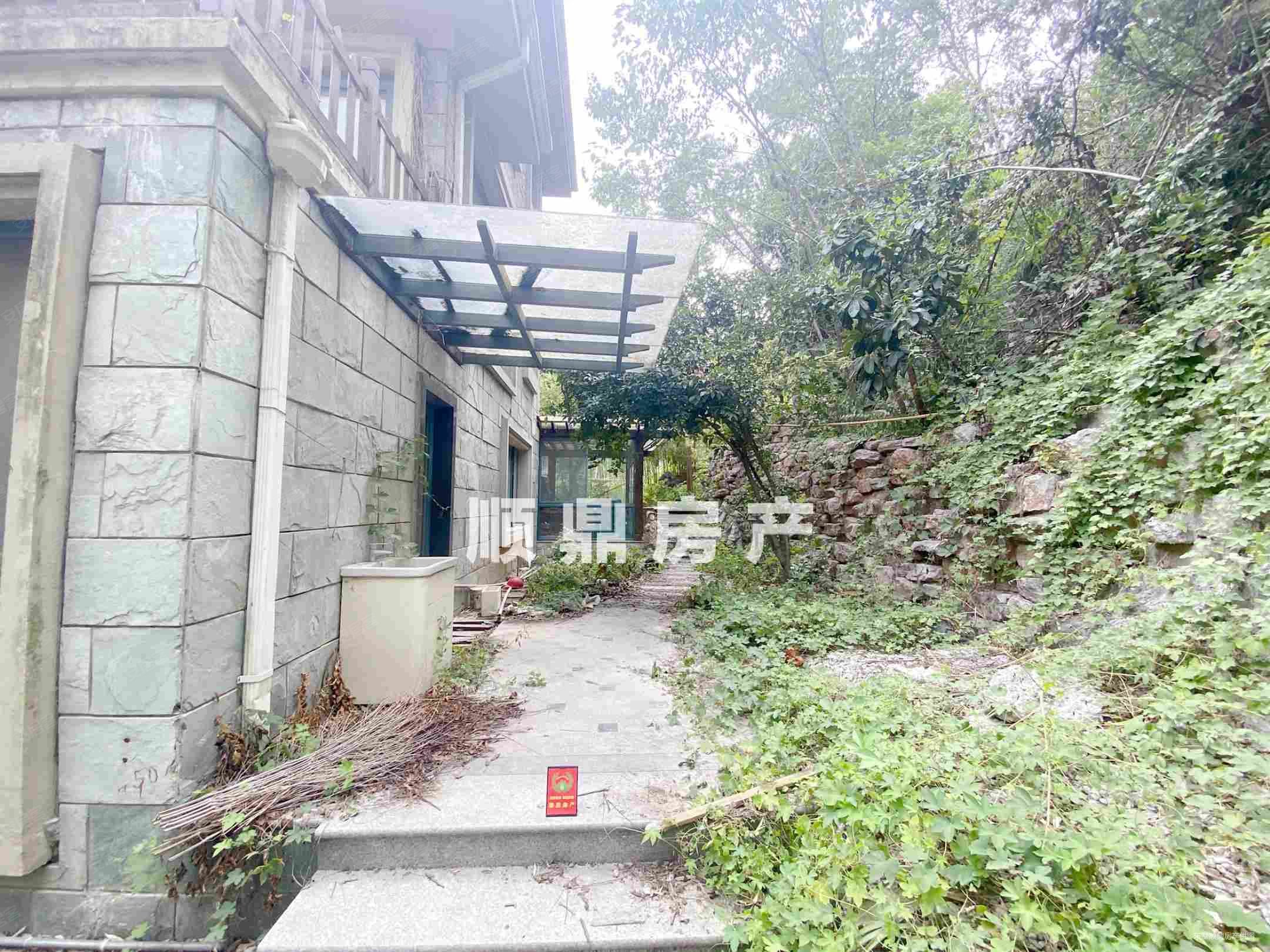 随时看山顶独栋背山面水带大院将军大道帝景天成