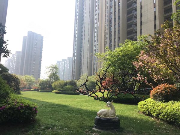 杭州临平乔司保亿风景晨园(公寓住宅)宿舍出租,四居室,看房随时都可以