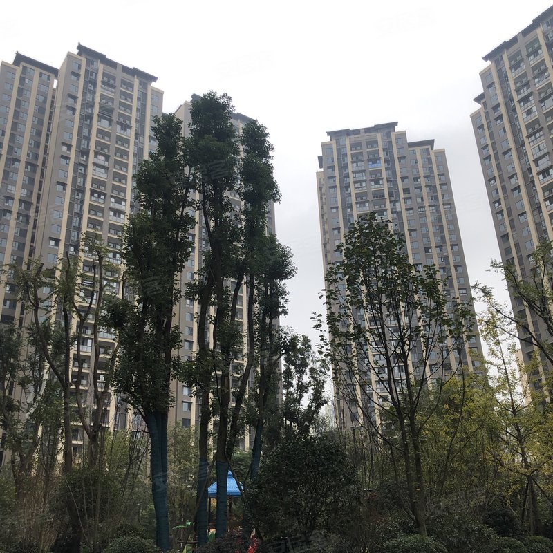 【远达盛景, 远达盛景小区专家解读页】- 自贡58同城