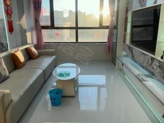 肇东肇东城区肇东市区东安世纪馨城电梯房，精装婚房出租房源真实图片