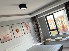 铜陵铜官西湖镇技术学院大门对面，免中介费，翰林公馆出租房源真实图片