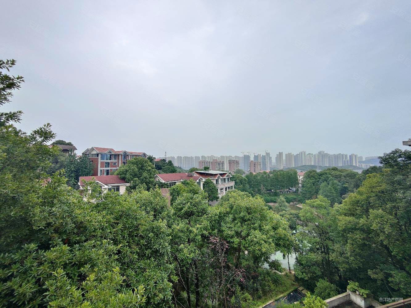 新出房源普瑞斯堡独栋别墅花园500平中间位置视野好