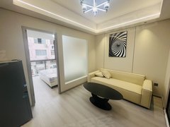 台州椒江锦江百货椒江市中心全屋护墙板!多套一室一厅精装全配!出租房源真实图片