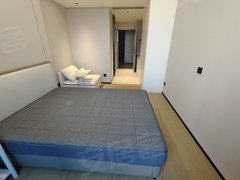 深圳南山南头中山公园站 居家一居室 唐商科技大厦 电梯房 采光好 精装修出租房源真实图片