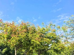 厦门湖里五缘湾北区联发五缘湾1号 5室2厅2卫出租房源真实图片