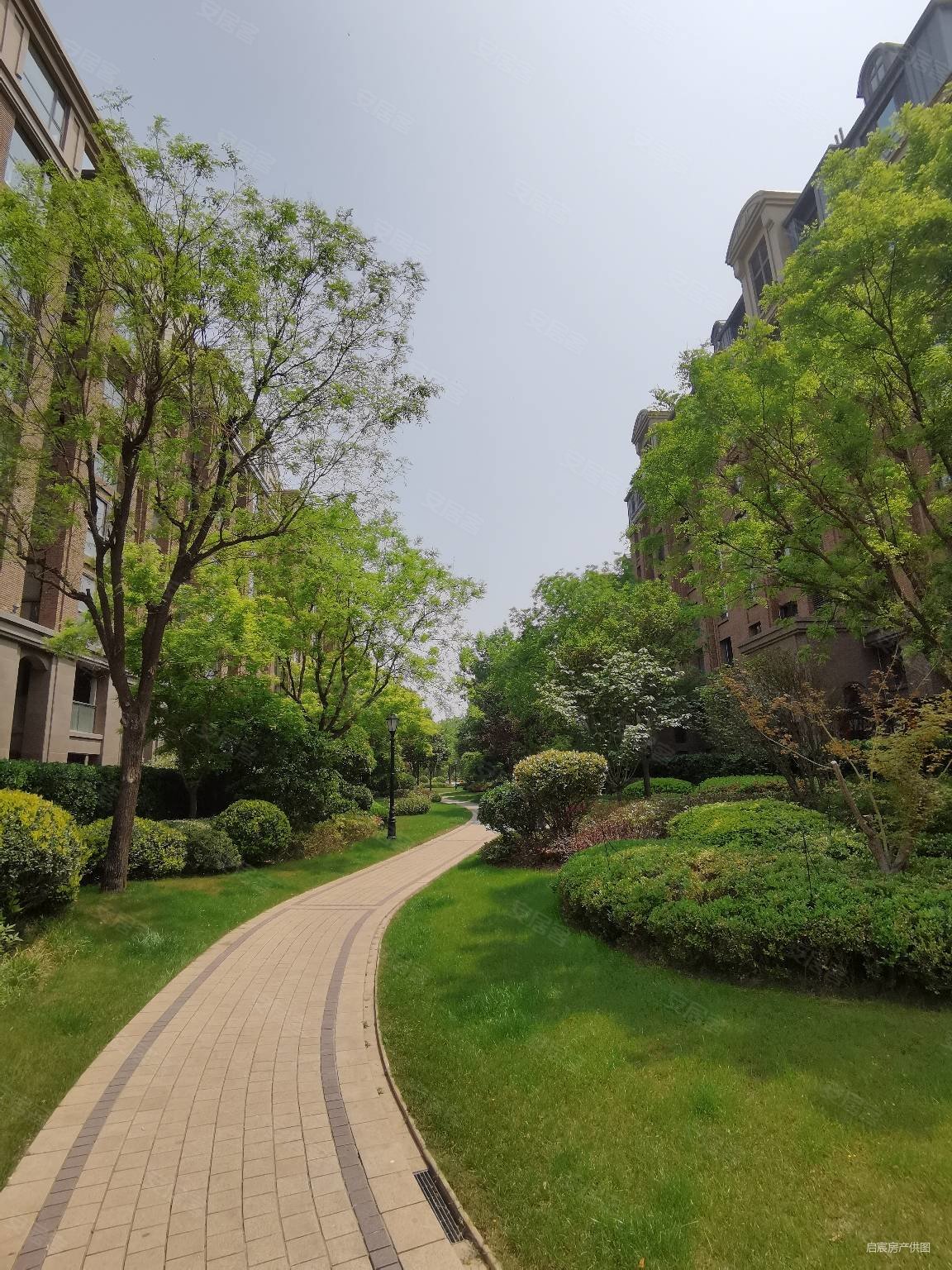 普罗旺世龙之梦西苑