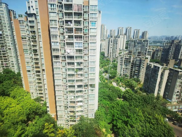 重庆南岸弹子石金港尚城房源采光好,南北通透,业主诚意出出租房源真实