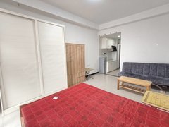 武汉蔡甸蔡甸周边朝南，采光非常好，席梦思床，空间大，可做饭出租房源真实图片