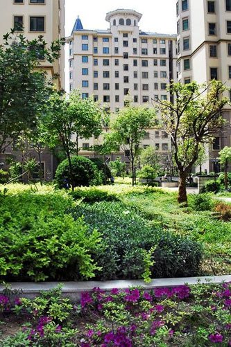 康城棕榈泉 - 实景图 83 / 121