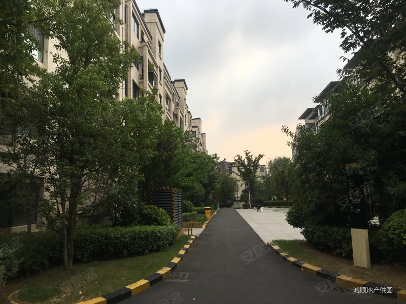 孝陵卫地铁大发融悦花园洋房农科院南理工带电梯全明