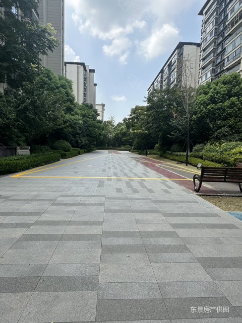 壁纸 街道 街景 488_650 竖版 竖屏 手机