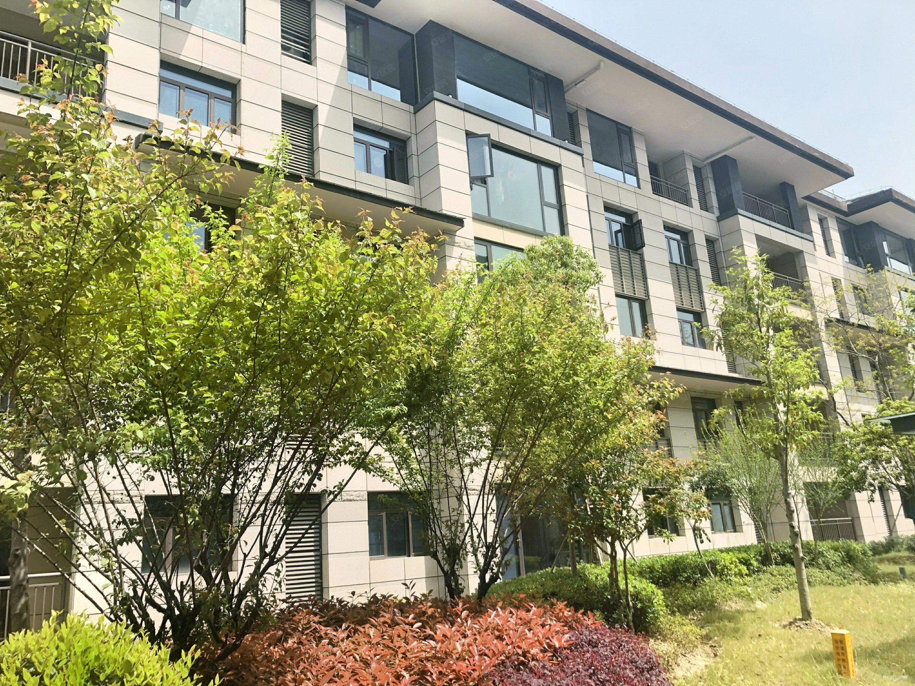 品质楼盘建滔裕园洋房复试总高5层全新毛坯中心位置