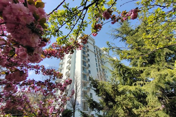 桃源居(青威路)