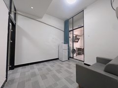 广州天河柯木塱柯木塱连锁公寓精装一房一厅出租房源真实图片