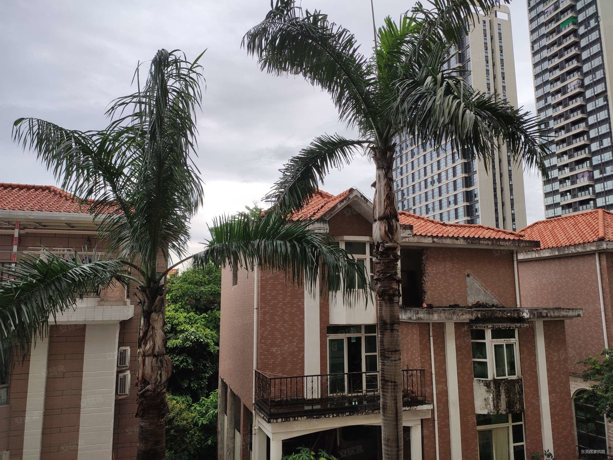 翠湖花园 电梯房 满二 医疗配套成熟 交通便利 购物方便,翠湖花园二手