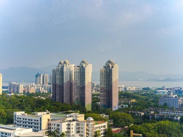 深圳南山华侨城海景花园(南山)海景花园 新上东南 两房出租 全齐拎包