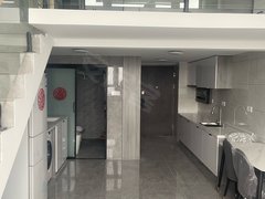 合肥新站陶冲湖新站广场 1室1厅1卫出租房源真实图片