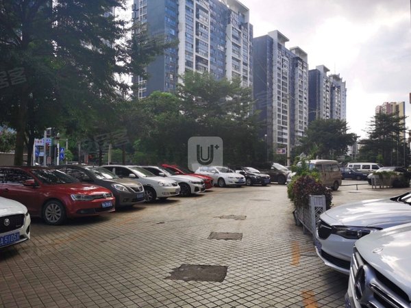 南宁青秀凤岭北凤岭名园凤岭北弥珍道 精装1房 仅1700 拎包入住 价格