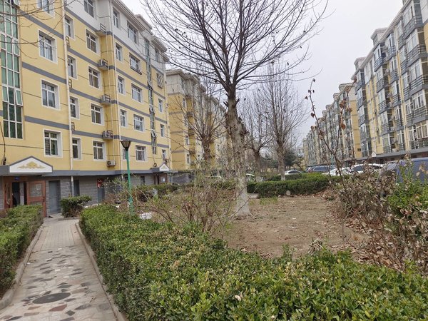 保定定兴定兴城区名仕华苑名仕华苑精装两室 年租金1.