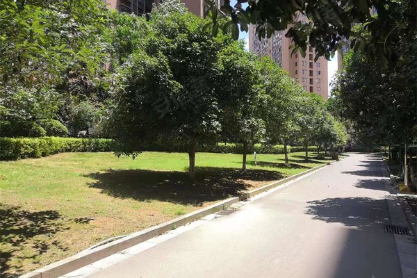 麓谷明珠,枫林三路-长沙麓谷明珠二手房,租房-长沙安居客