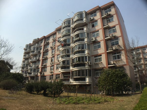 上海金山石化山鑫阳光城山鑫阳光城 2室2厅1卫 南北通透 精装修 配套