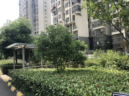 龙池花园,明光西路,近西涧北路 - 滁州龙池花园二手房,租房,房价-滁州