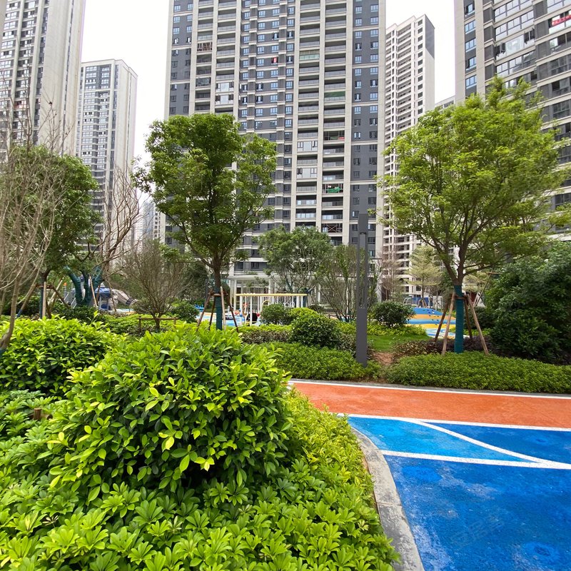 【石狮金辉城, 石狮金辉城小区详情,房价走势,房源,业主论坛】- 泉州