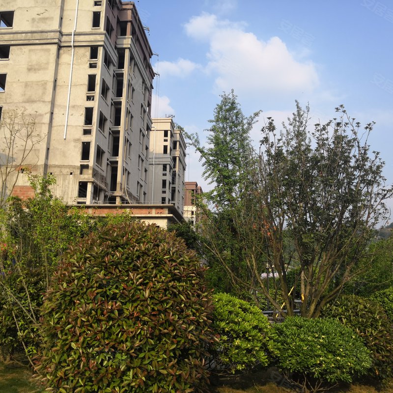阳光半山府邸小区详情,房价走势,房源,业主论坛】- 南充58同城
