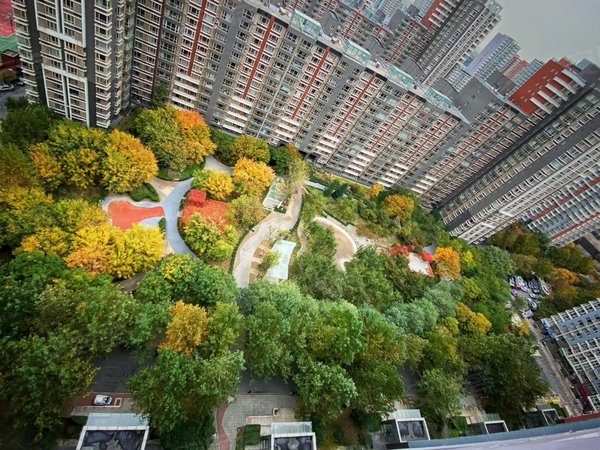 北京石景山鲁谷远洋山水(北区)北区新出 环境好干净整洁1居室 距1号线