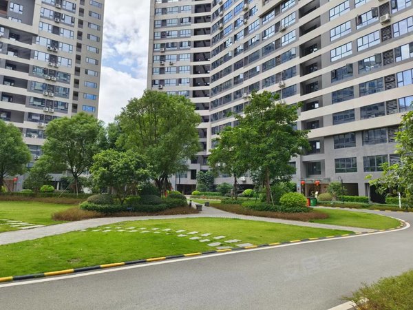 【多图】碧桂园星港国际,镜湖大道租房,(标准一房一厅)高层南向望花园