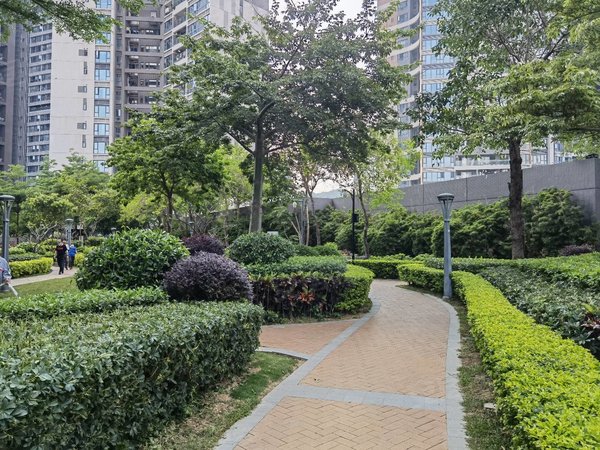 下梅林租房,高楼层 看山景 绿景虹湾大两房出租,福田租房-深圳58安居