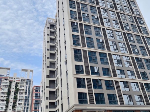 广州增城新塘东埔北街六巷自建房近永旺,南方医院,永荟广场,公寓直租