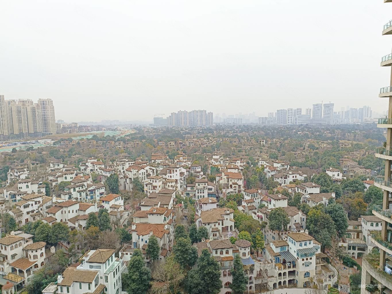 麓山国际茵特拉肯