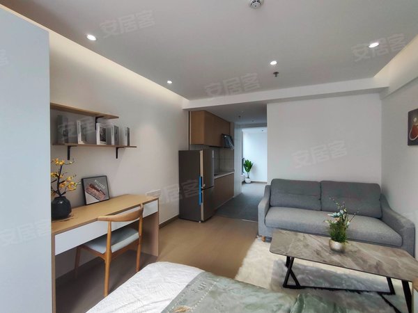 深圳罗湖东门联兴大厦联兴大厦 1室 南北通透 电梯房 精装修出租房源