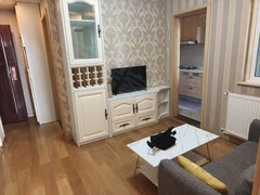 武汉江岸台北香港路苗栗路 香港路大智路地铁旁，精装修带暖气，天然气阳台出租房源真实图片