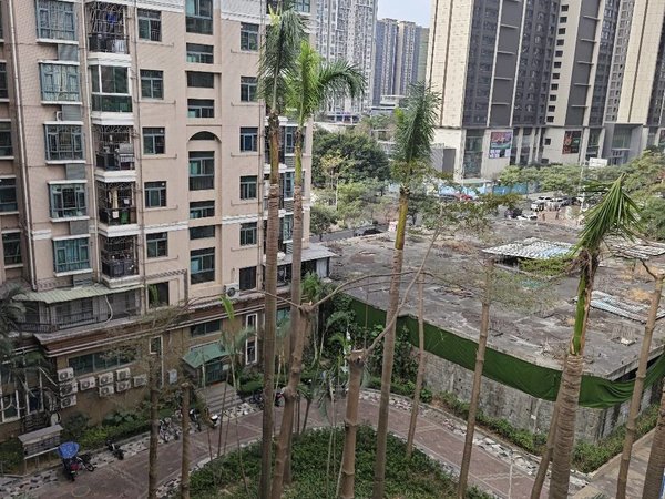 深圳宝安碧海湾海湾明珠花园海湾明珠花园,精装修四房出租房源真实