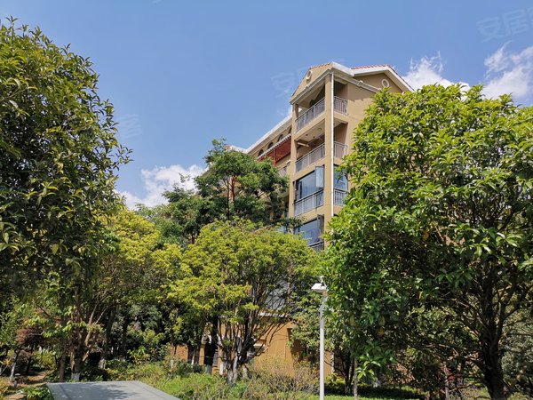 昆明盘龙白沙河紫东苑花之城后面紫东苑精装西南端头明厨明卫带家具